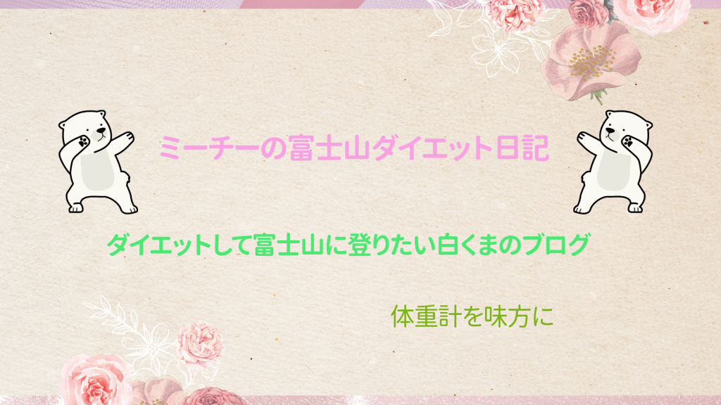 ミーチーの富士山ダイエット日記