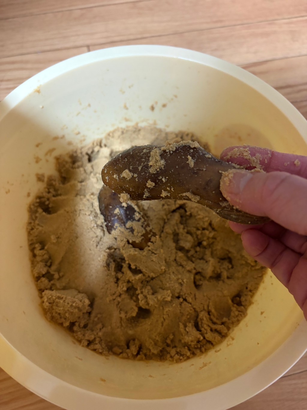 腸が整ったら、富士山も軽くなった気がした話